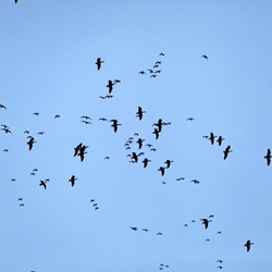 dailyPhoto30